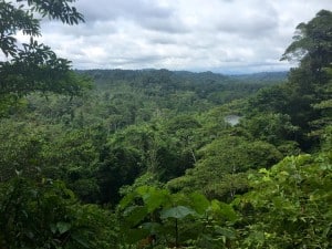 Thousands of hectars of pristine rainforest around us
