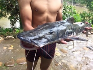 Fishing bagre in the Arajuno river