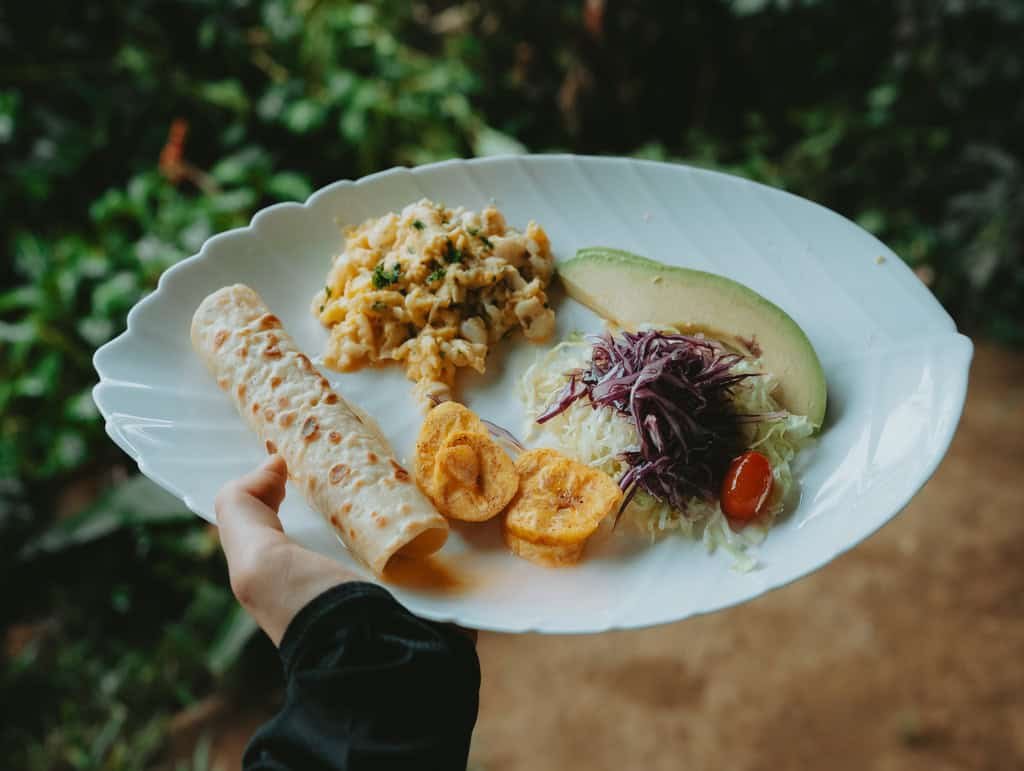ayahuasca ceremony diet