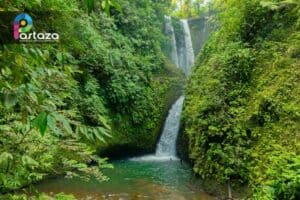 10-Day Ayahuasca Retreat in Ecuador