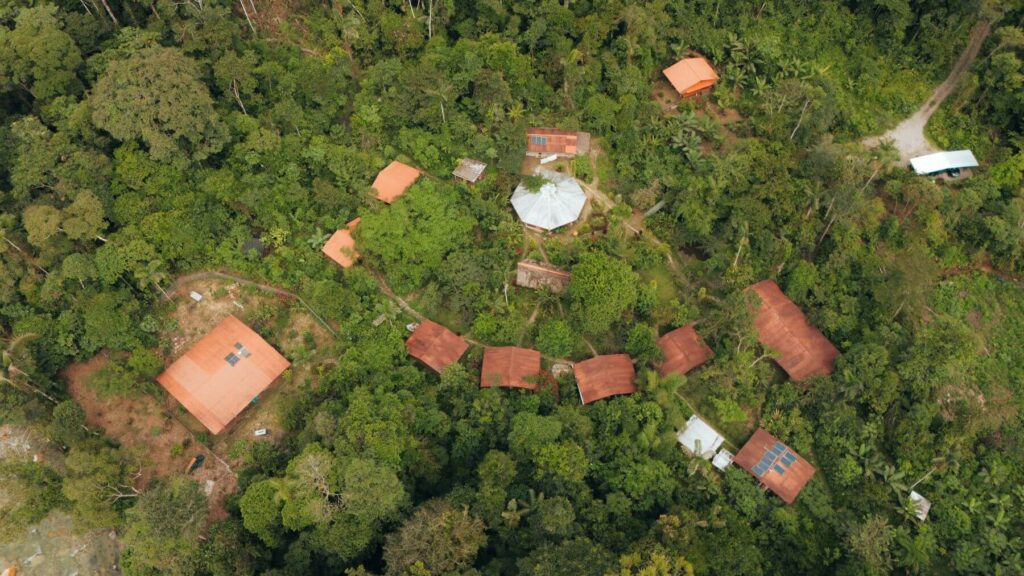 Centro de Retiros de Ayahuasca Feather Crown en Ecuador
